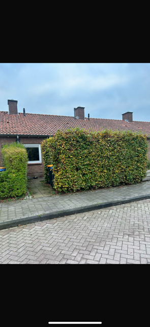 Beethovenlaan 38