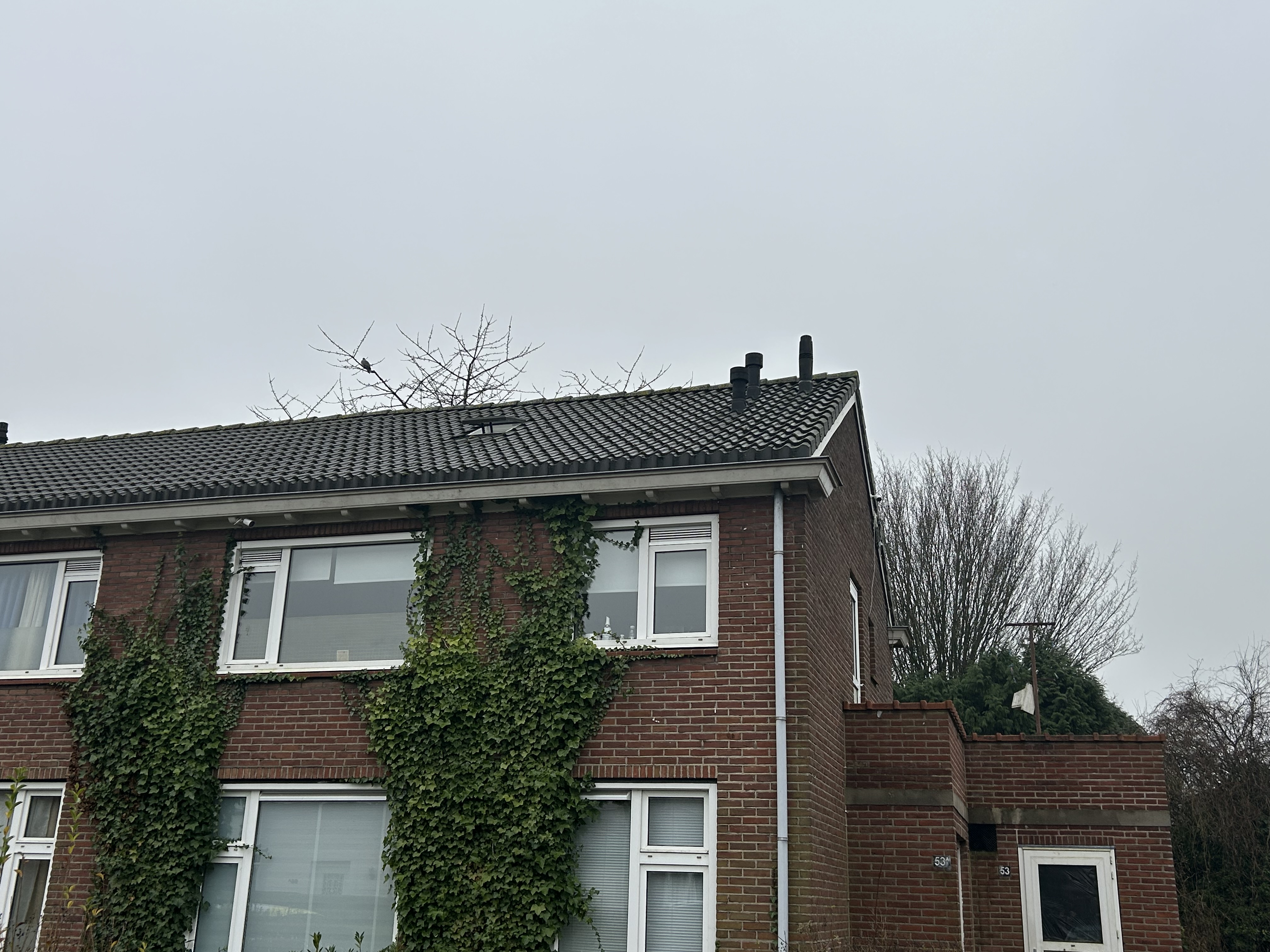 Vulcaanstraat 53A, 7061 ZB Terborg, Nederland